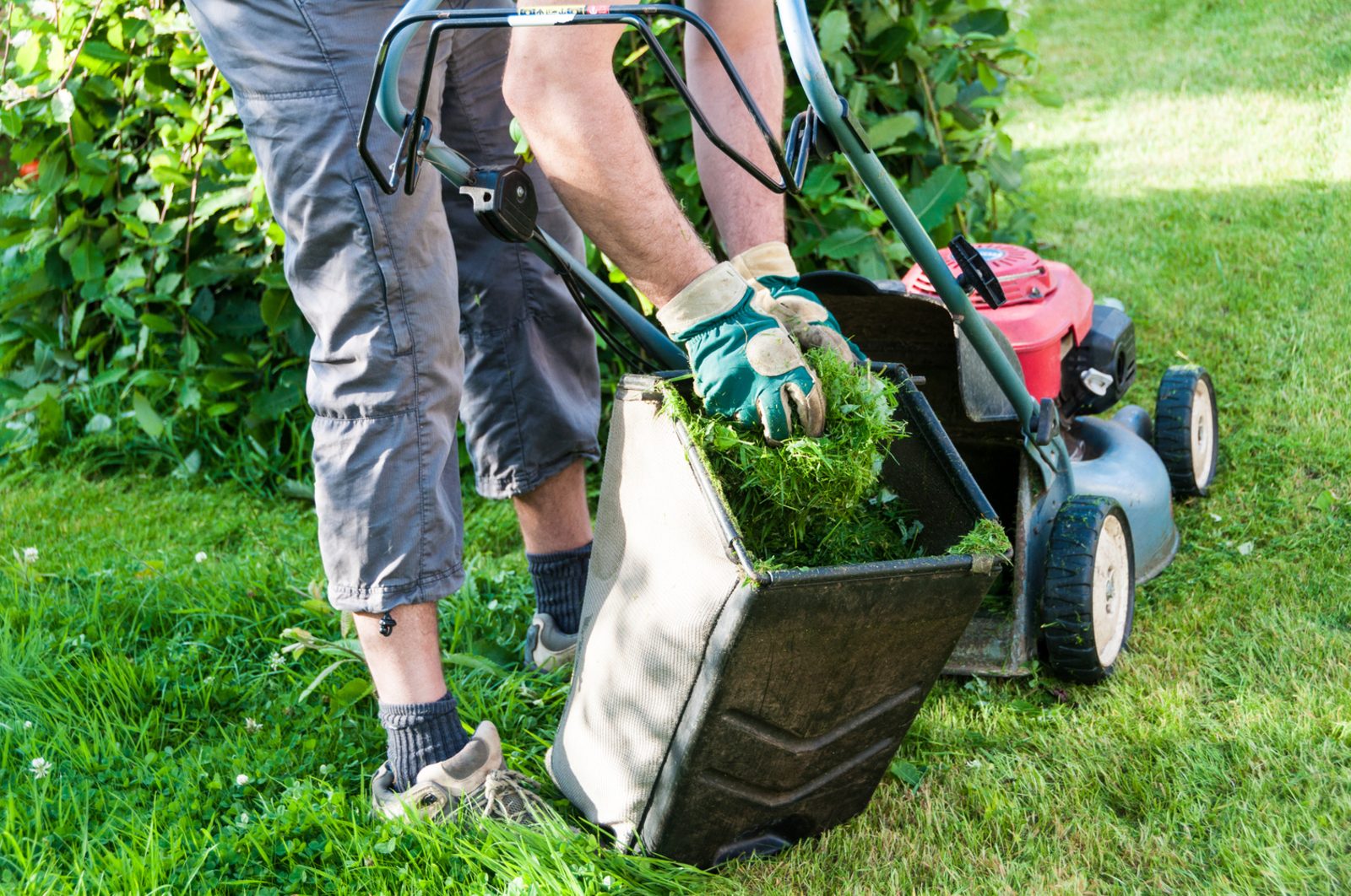 5 Hacks to Make Lawn Care Easier