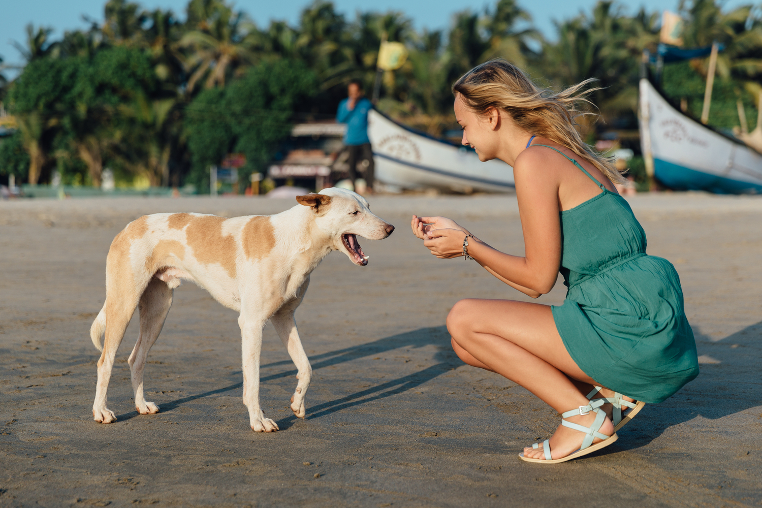 10 Ways Dogs Communicate With Humans & How Training Can Help