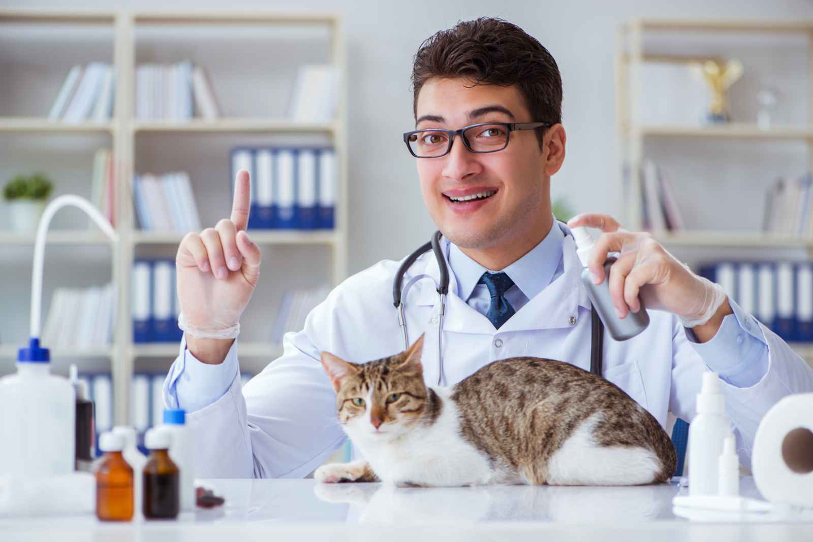 6 Signs Your Cat Isn’t Feeling Well